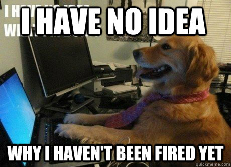 I have no idea why I haven't been fired yet  I have no idea what Im doing dog
