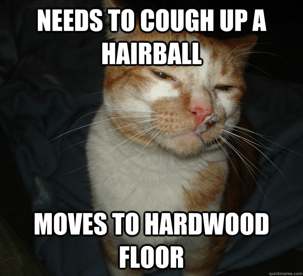 Needs to cough up a hairball moves to hardwood floor  Good Guy Cat