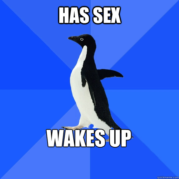 Has Sex Wakes up    Socially Awkward Penguin