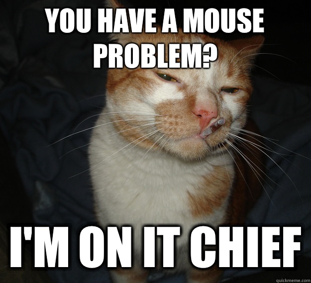 you have a mouse problem? i'm on it chief  Good Guy Cat