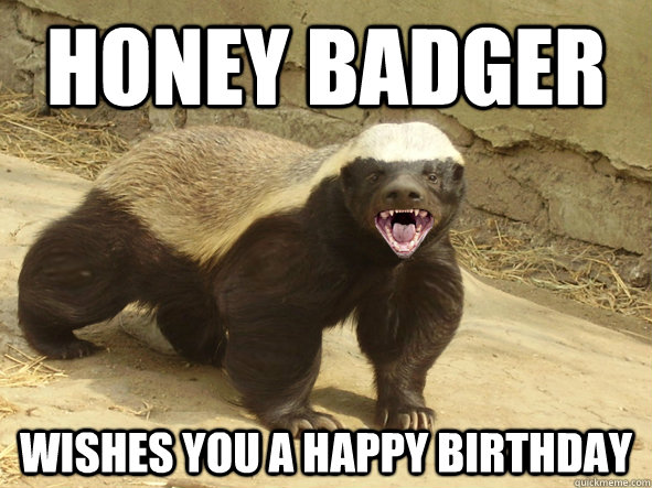 HONEY BADGER WISHES YOU A HAPPY BIRTHDAY - HONEY BADGER WISHES YOU A HAPPY BIRTHDAY  Honey badger hatin