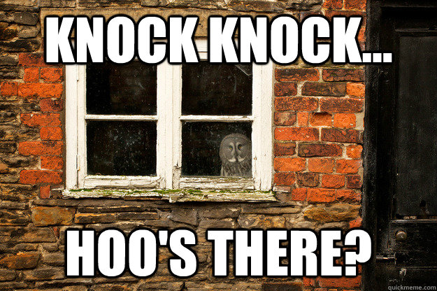 knock knock... hoo's there? - knock knock... hoo's there?  Misc
