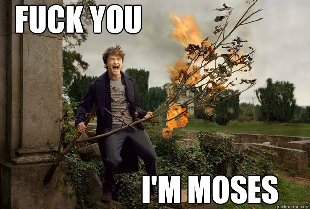 FUCK YOU I'M MOSES - FUCK YOU I'M MOSES  Moses