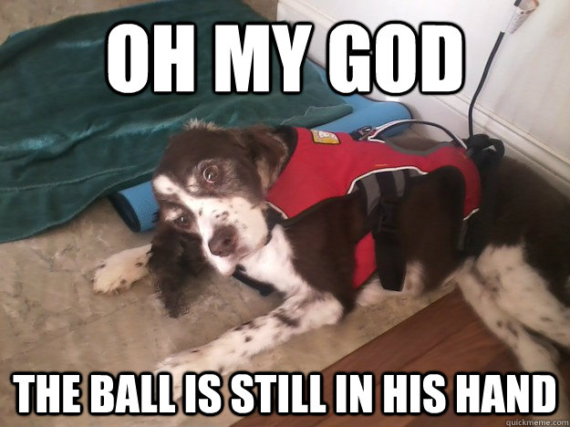 oh my god the ball is still in his hand - oh my god the ball is still in his hand  Sudden Clarity Dog