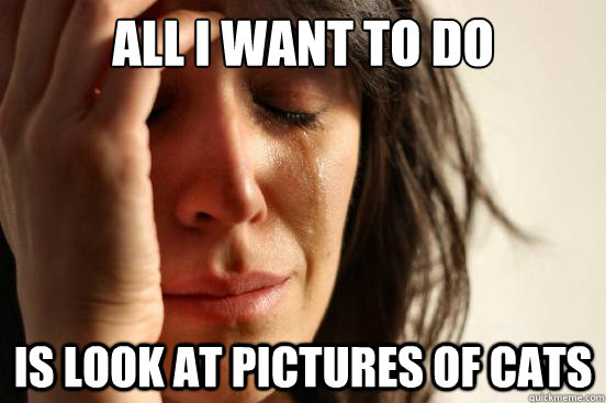 all i want to do is look at pictures of cats  First World Problems