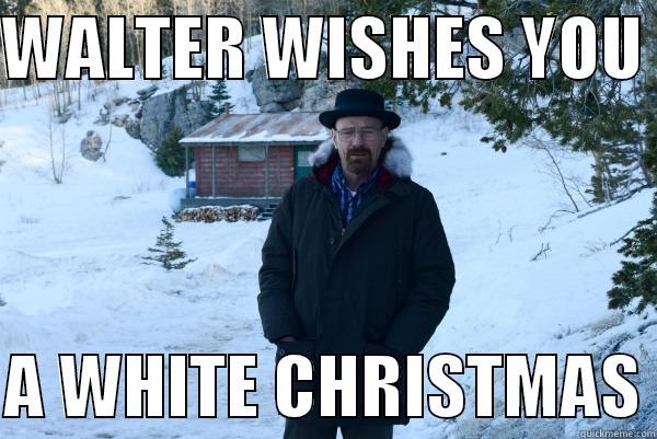 Walter White Christmas - WALTER WISHES YOU   A WHITE CHRISTMAS Misc