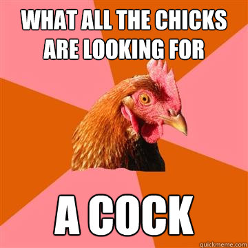 what all the chicks are looking for a cock  Anti-Joke Chicken