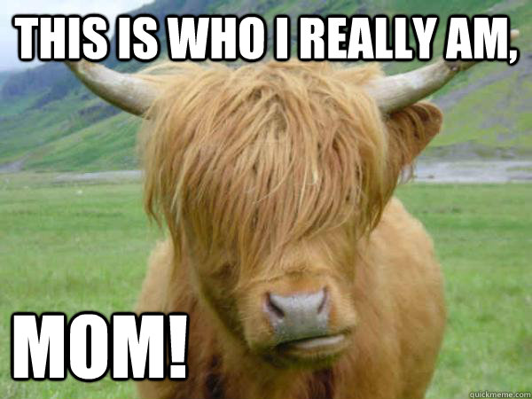 This is who i really am, mom!  Courageous Cow