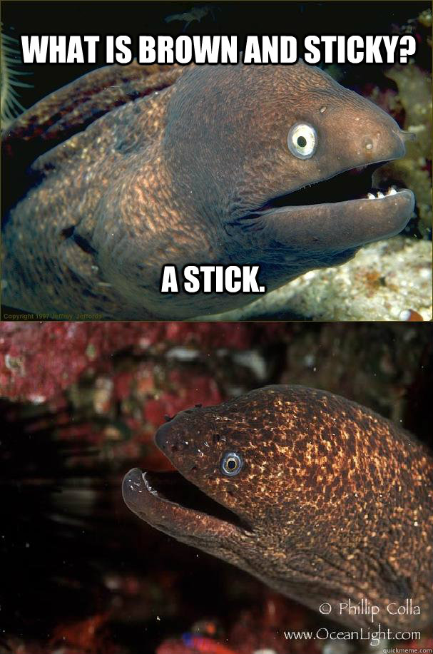 What is brown and sticky? A stick. - What is brown and sticky? A stick.  Bad joke eels makes a friend