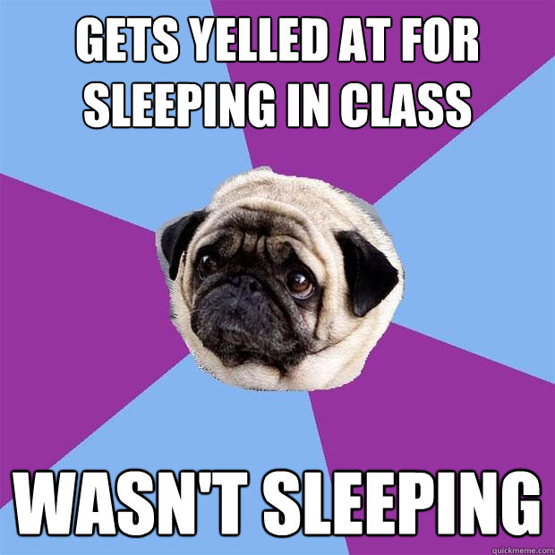 gets yelled at for sleeping in class wasn't sleeping  Lonely Pug