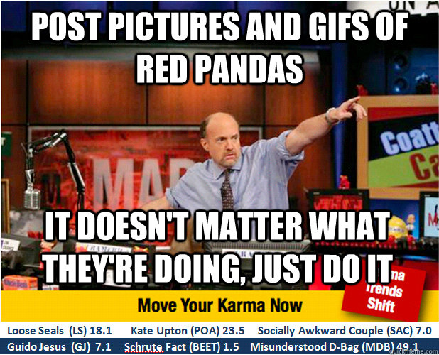 Post pictures and gifs of Red Pandas It doesn't matter what they're doing, just do it  Jim Kramer with updated ticker