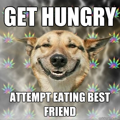 Get hungry Attempt eating best friend  Stoner Dog