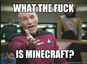 what the fuck is Minecraft? - what the fuck is Minecraft?  Annoyed Picardutmmediumreferral