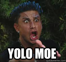  YOLO MOE  Pauly D Stalker