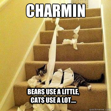 Charmin  Bears use a little, Cats use a lot....  Charmin