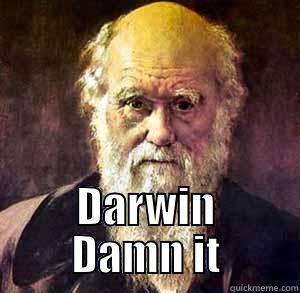 Darwin Damn it -  DARWIN DAMN IT Misc