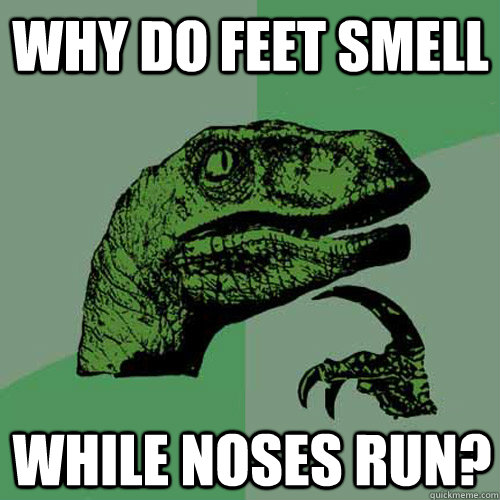 WHY DO FEET Smell while noses run? - WHY DO FEET Smell while noses run?  Philosoraptor