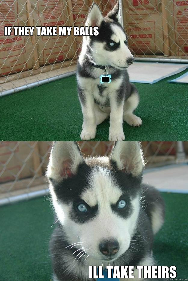 if they take my balls ill take theirs   Insanity puppy