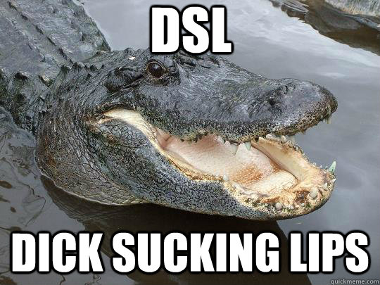 DSL Dick Sucking Lips - DSL Dick Sucking Lips  Funny Acronym Alligator