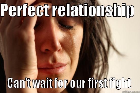 PERFECT RELATIONSHIP   CAN'T WAIT FOR OUR FIRST FIGHT First World Problems