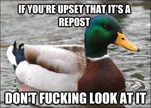 if you're upset that it's a repost don't fucking look at it  Actual Advice Mallard