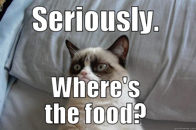 Hungry Grumpy - SERIOUSLY. WHERE'S THE FOOD? Grumpy Cat
