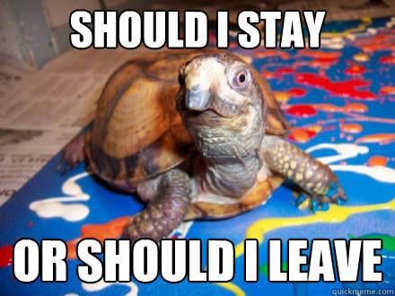 should i stay or should i leave  