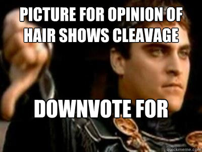 Picture for opinion of hair shows cleavage  Downvote for karmawhoring  Downvoting Roman