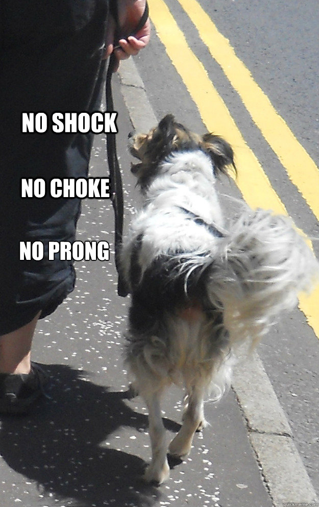 No shock No Choke No prong
 - No shock No Choke No prong
  Ben says NO