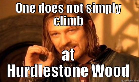ONE DOES NOT SIMPLY CLIMB AT HURDLESTONE WOOD Boromir