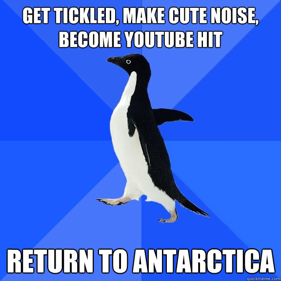 Get tickled, make cute noise, become youtube hit return to antarctica  Socially Awkward Penguin