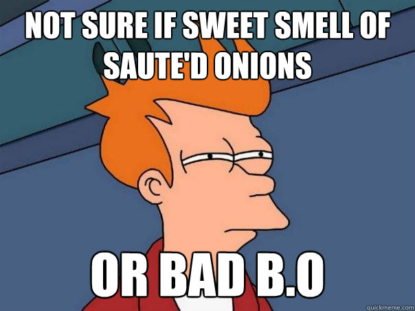 Not sure if sweet smell of saute'd onions or bad b.o  Futurama Fry