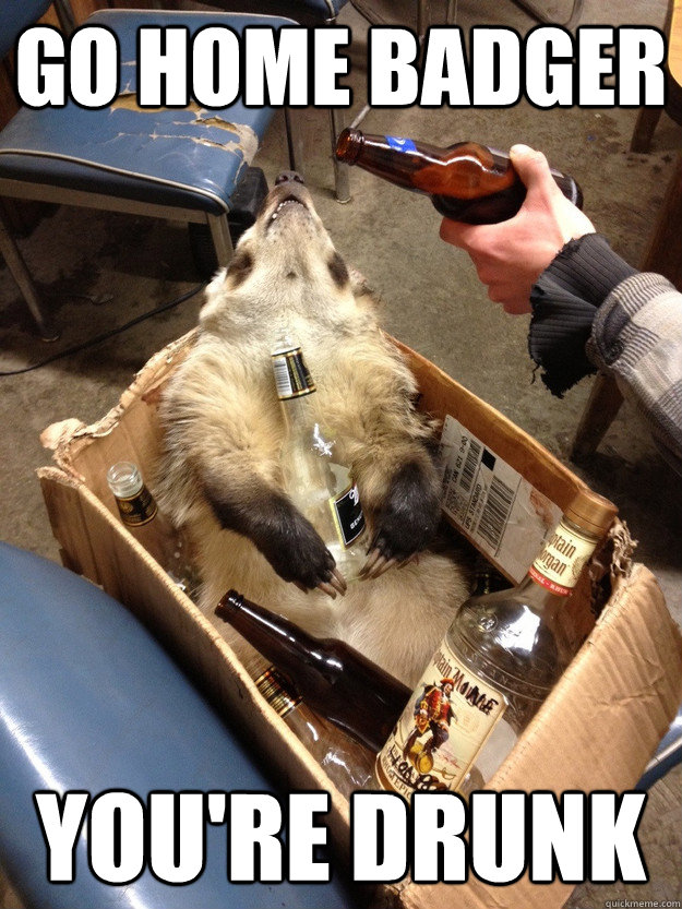 Go home Badger You're Drunk - Go home Badger You're Drunk  Drunk Badger