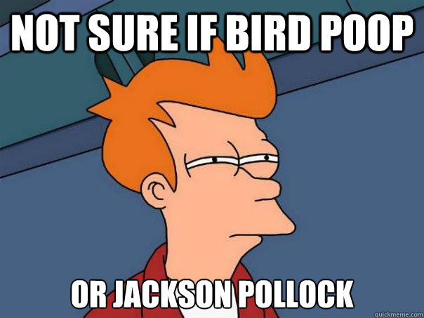 Not sure if bird poop Or jackson pollock  Futurama Fry