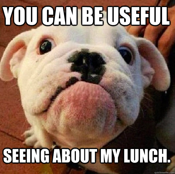 You can be useful seeing about my lunch. - You can be useful seeing about my lunch.  mason dog