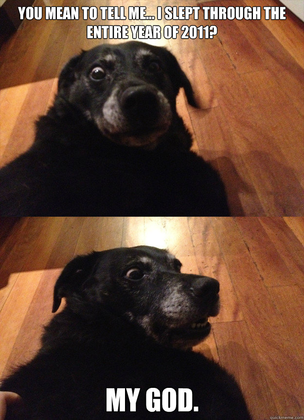 you mean to tell me... i slept through the entire year of 2011? my god.  suddenly sober dog