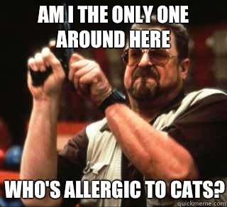 AM I THE ONLY ONE AROUND HERE WHO'S ALLERGIC TO CATS?  