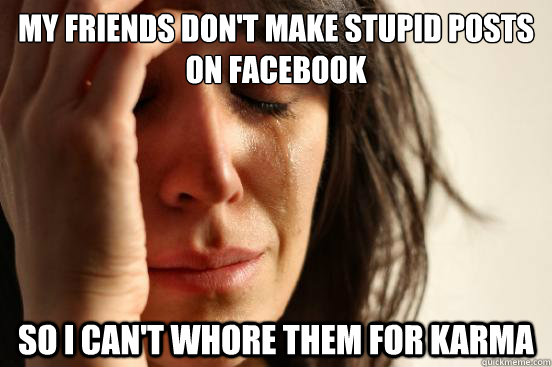 My friends don't make stupid posts on FaceBook so i can't whore them for karma  First World Problems