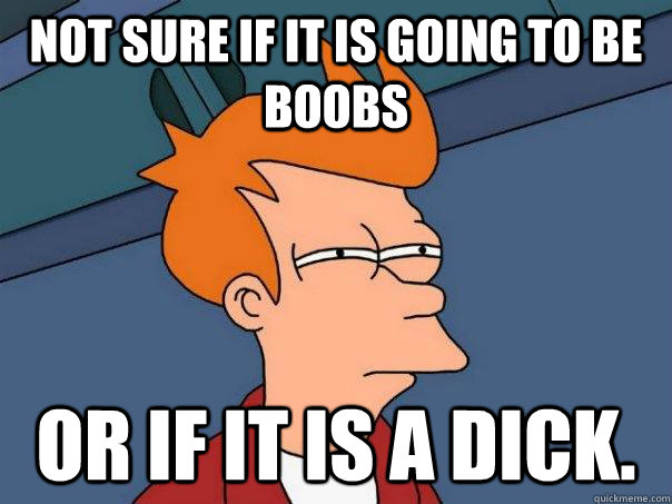Not sure if it is going to be boobs Or if it is a dick.  Futurama Fry
