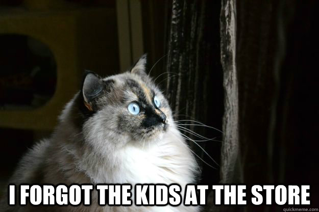  I forgot the kids at the store -  I forgot the kids at the store  Shit!