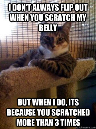 I don't always flip out when you scratch my belly but when I do, its because you scratched more than 3 times  The Most Interesting Cat in the World