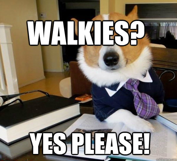 Walkies? Yes please! - Walkies? Yes please!  Lawyer Dog