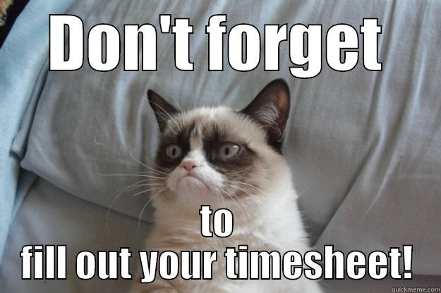 Timesheet Grumpy cat - DON'T FORGET TO FILL OUT YOUR TIMESHEET! Grumpy Cat
