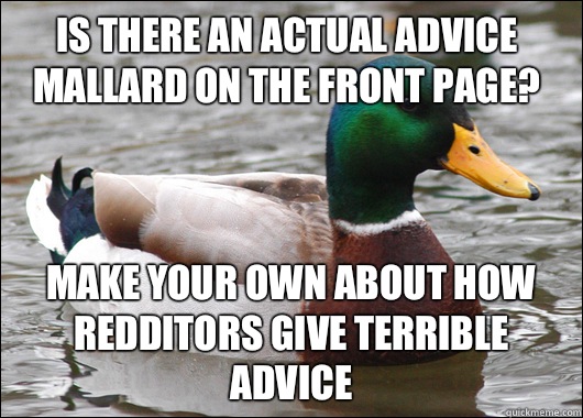 Is there an Actual Advice Mallard on the front page? Make your own about how Redditors give terrible advice  Actual Advice Mallard