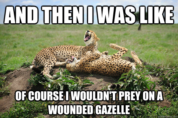 And then I was like Of course i wouldn't prey on a wounded gazelle  Laughing Cheetahs