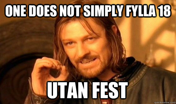 ONE DOES NOT SIMPLY FYLLA 18 UTAN FEST  One Does Not Simply