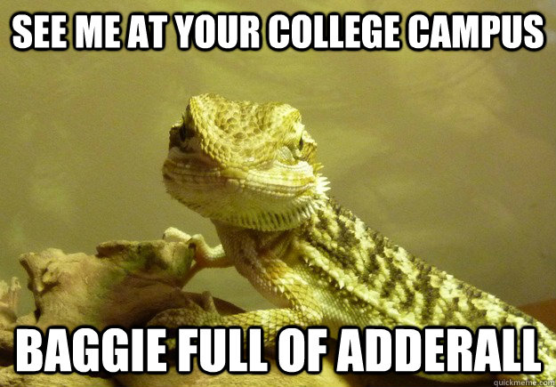See me at your college campus baggie full of adderall  