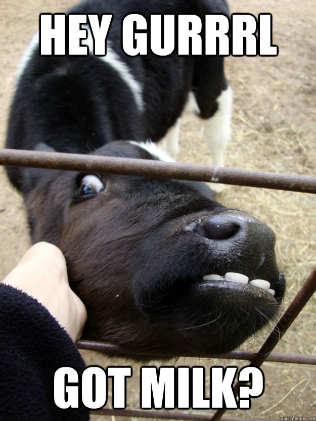 hey gurrrl got milk? - hey gurrrl got milk?  Creepy Cow