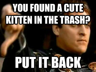 You Found A cute Kitten In the Trash? Put It Back  Downvoting Roman