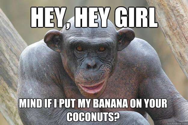hey, hey girl mind if i put my banana on your coconuts?  The Most Interesting Chimp In The World